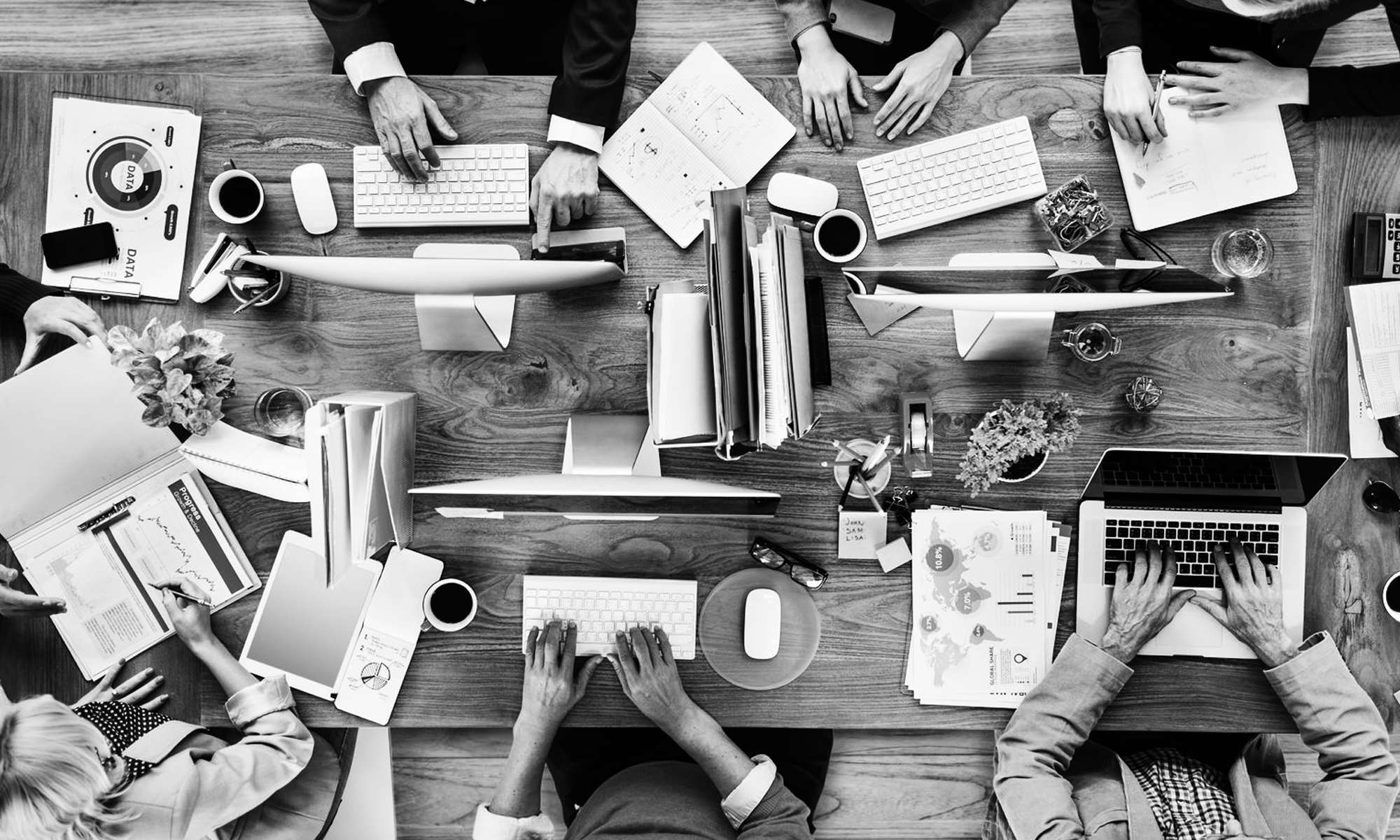 Follow Us growth strategy and marketing infrastructure team